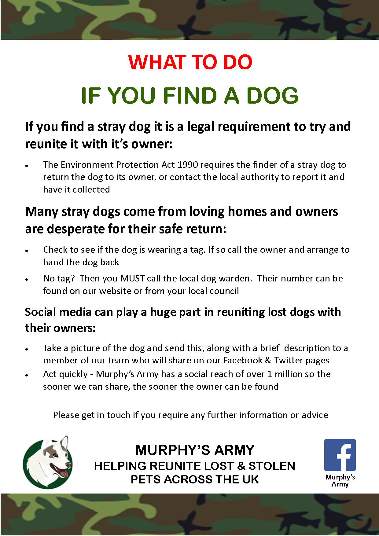 if you find a stray dog