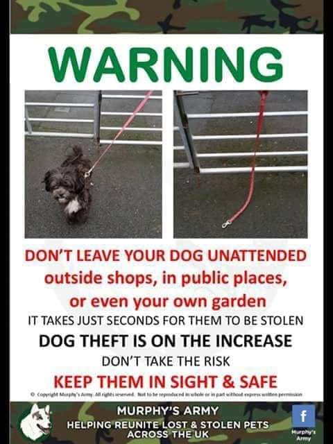 Never leave your dog unattended!!